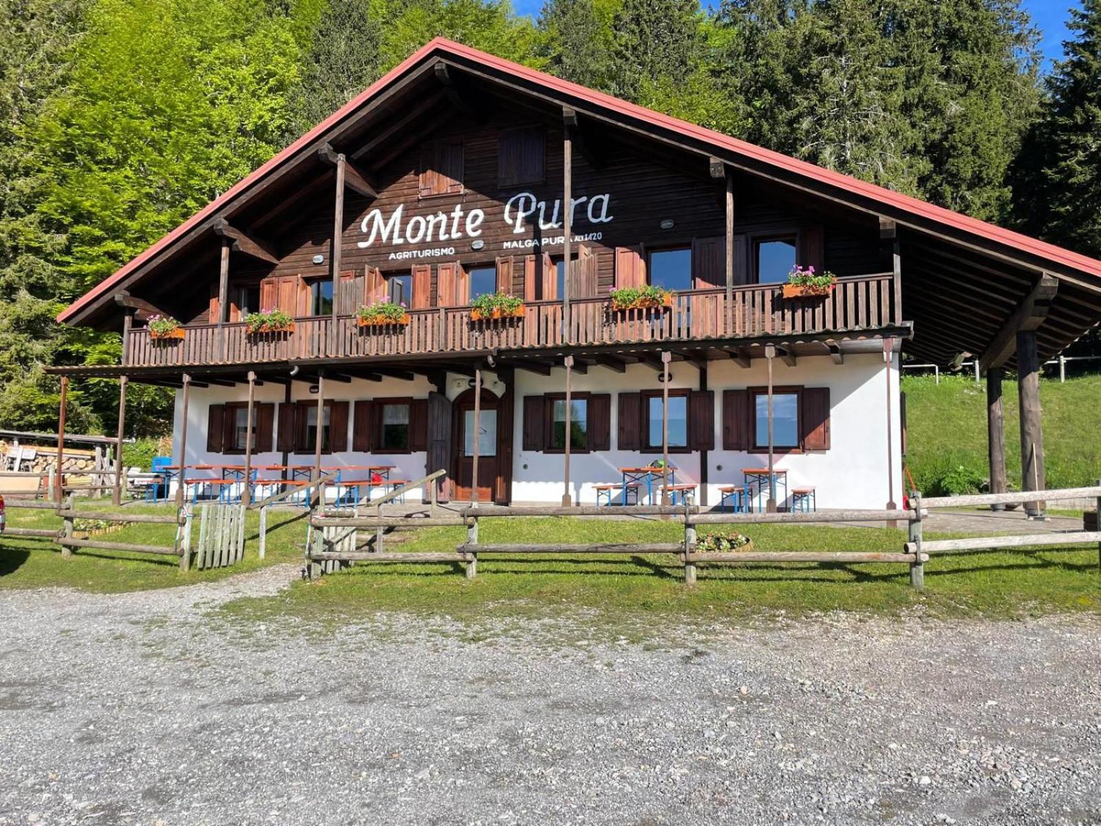 Hotel Rifugio Monte Pura Ampezzo Esterno foto